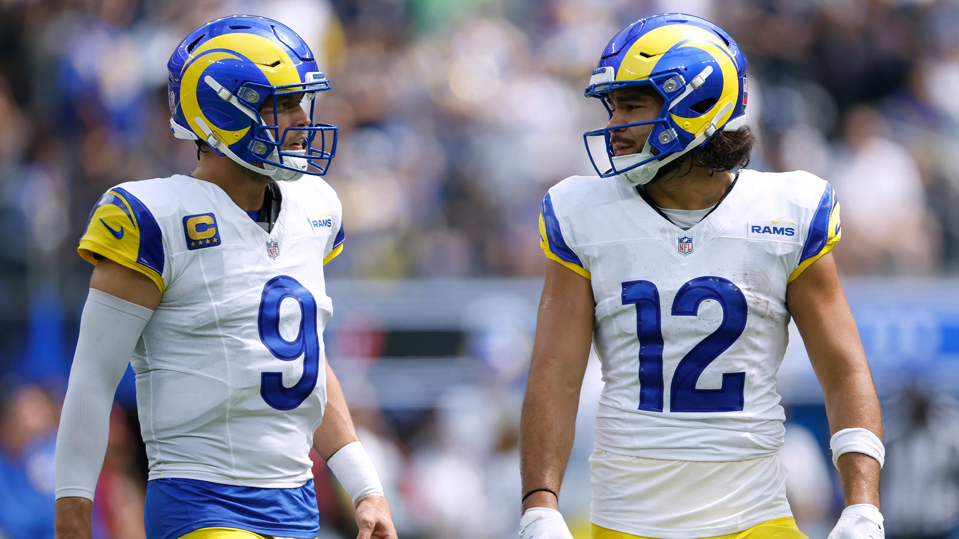 stafford-puka